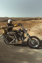 Ohio Grey Leather Jacket